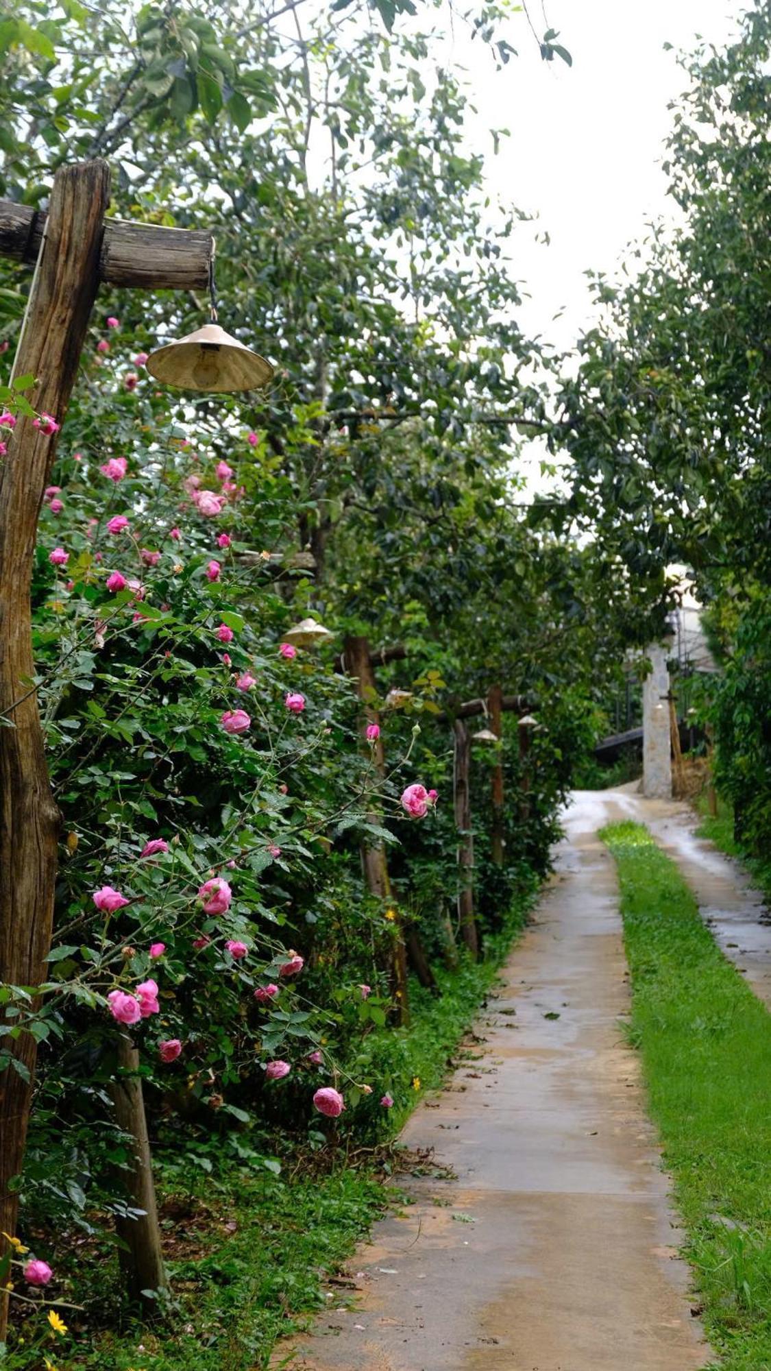 Moc Tra Farm Villa Xuan Truong Exteriör bild